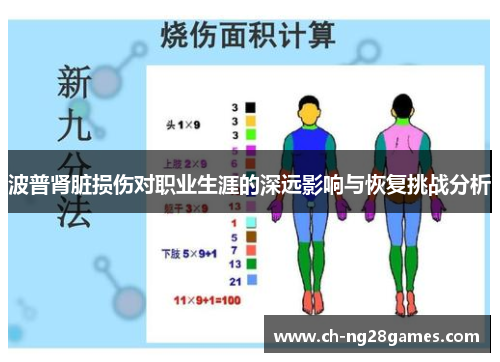 波普肾脏损伤对职业生涯的深远影响与恢复挑战分析